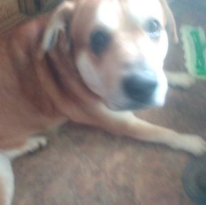 Meet your Posher, Lee